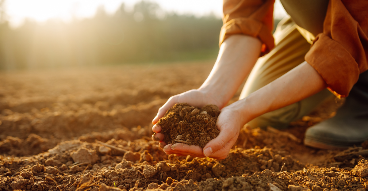 Holding soil in hands